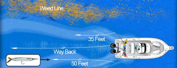 Simple Three-Line Mahi Trolling Spread