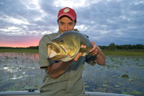 The author with proof that topwater frogs are irresistible to largemouth in low light.