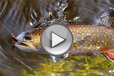 Maine Wilderness Kayak Fishing