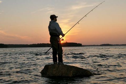 Surfcasting 101