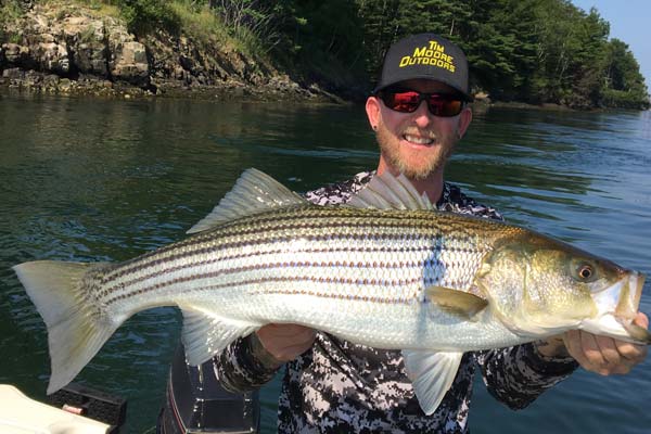 Piscatagua River striper