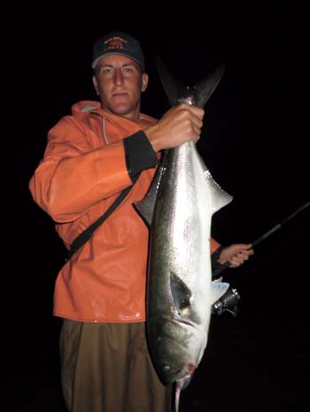 Jon Pickering hoists a large bluefish that was landed at night in one  of the outflows along the oceanfront.