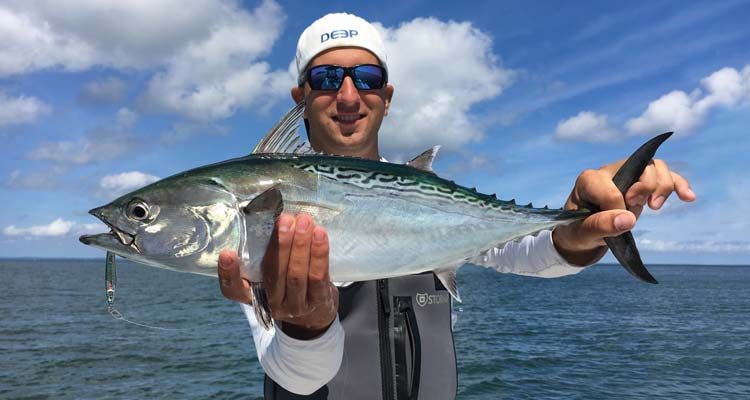 Albie tips from the pros