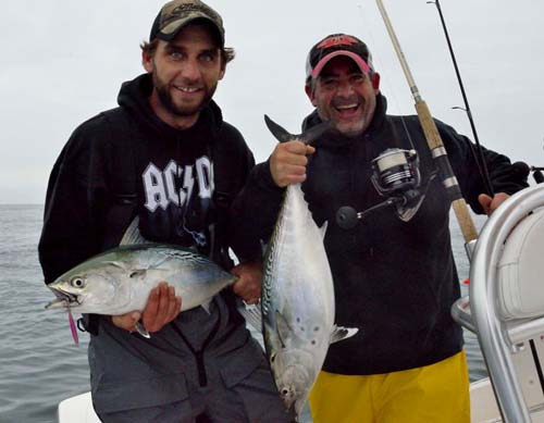 Once you figure out what they want, false albacore will reward you with fast action and multiple-fish days. 
