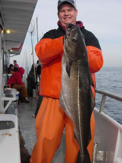 30-pound-plus pollock