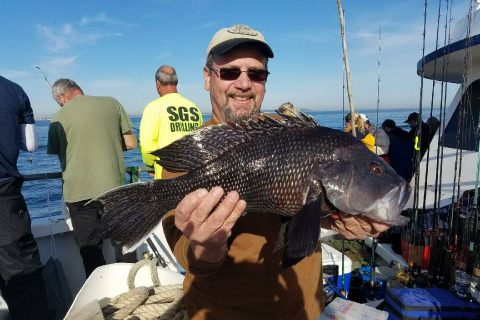 New York DEC Adopts New Recreational Black Sea Bass Regulations