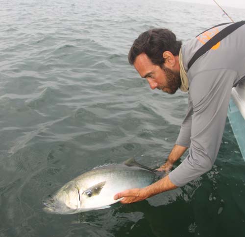 Crushing the barbs on your flies makes it easier to unhook and release the big blues.