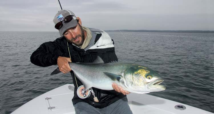 Captain Vinny Catalano of Joey C Charters admires a big blue