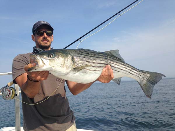 For fall stripers and blues, a 10-weight fly rod with a floating line works best.