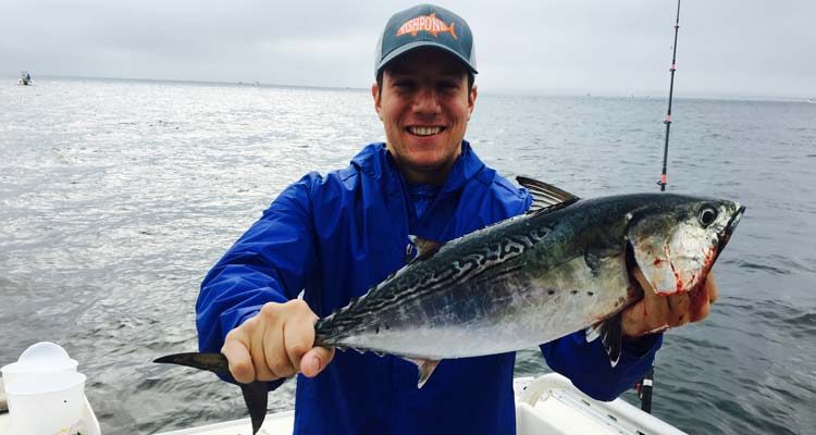 Northport Charters albie