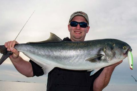 big back bay bluefish
