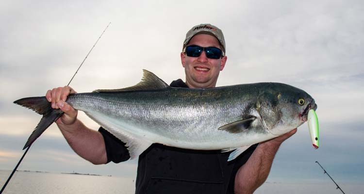 big back bay bluefish