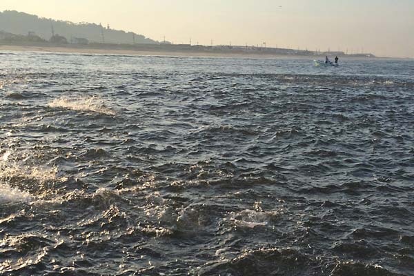 Look for bunker schools with white water around the edges. 