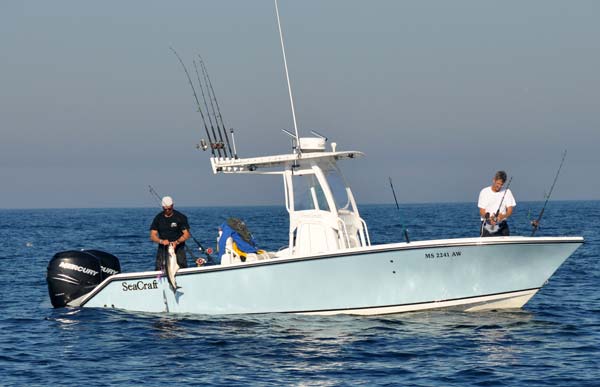 When weather conditions are right, center consoles can make the run out to the deep water areas off Stellwagen Bank and Jeffreys Ledge where pollock school in fall.