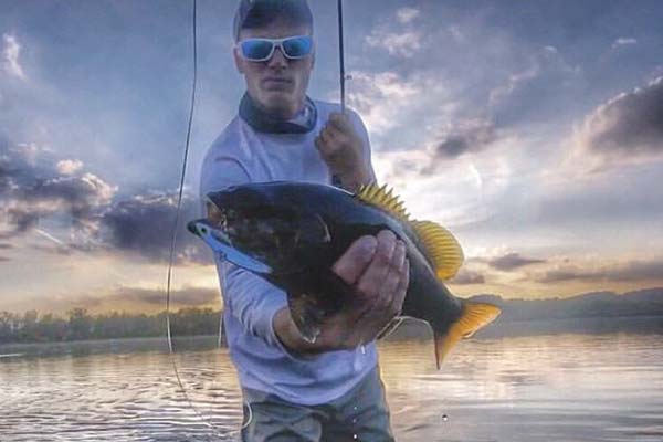 Bladebaits like the SteelShad are a classic lure for smallmouths