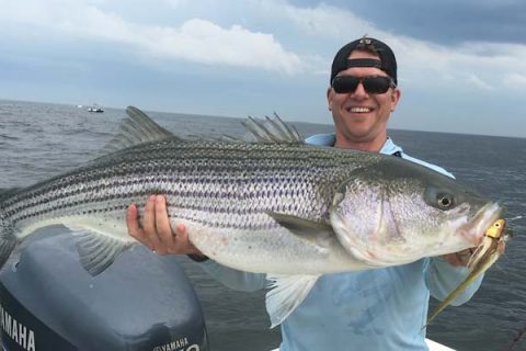 Fourty-pound stripers on the fly