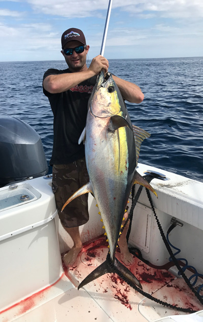 big yellowfin