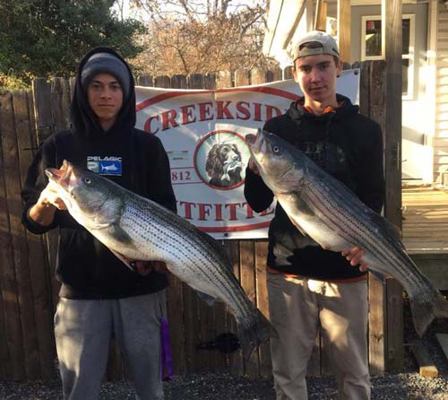 Creekside Outfitters in Waretown reported good “widespread” fishing