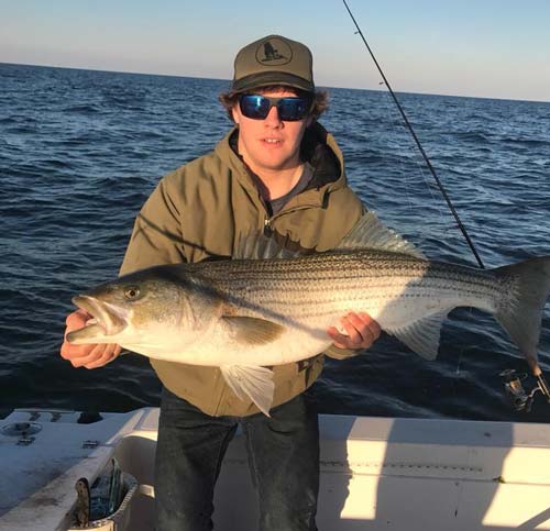 Fin-Atics striped bass