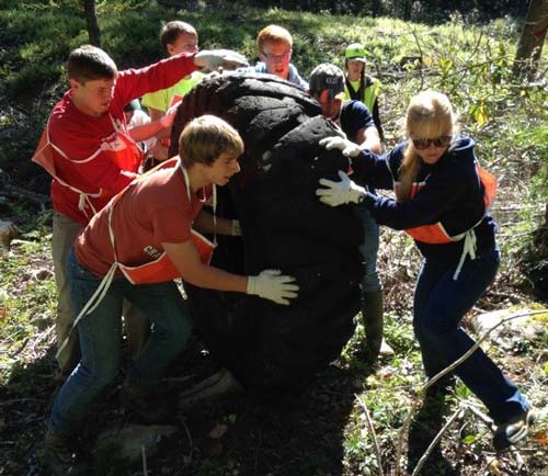 Clarion River clean-up