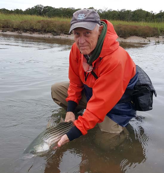 In the fall, bait and fish can almost always be found in the harbors