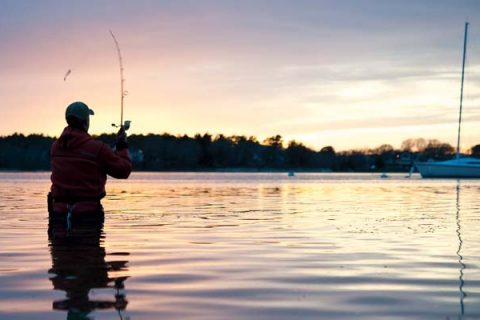 Long Island's Harbor Run