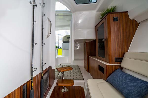 Pursuit DC365 cabin