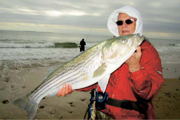 daytime blitz striper