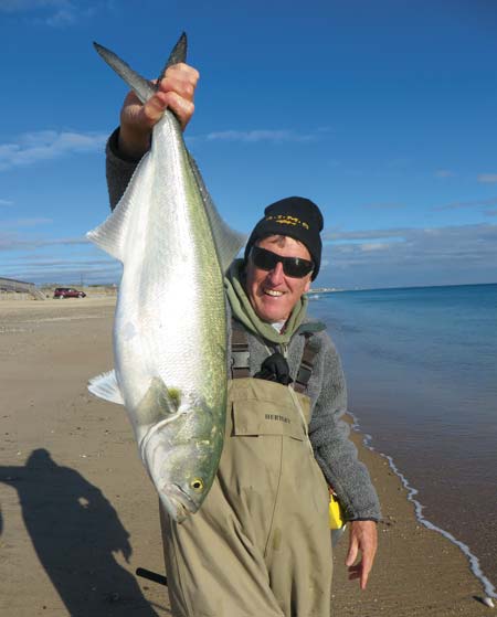 late-season November bluefish