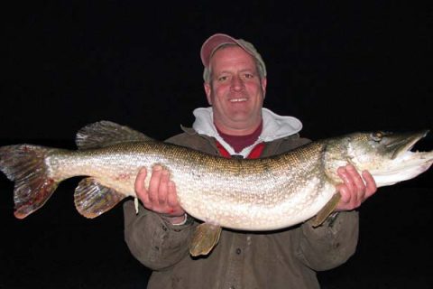 The truth is that most of the freshwater fish we think of as belonging to New England aren&rsquo;t native at all.