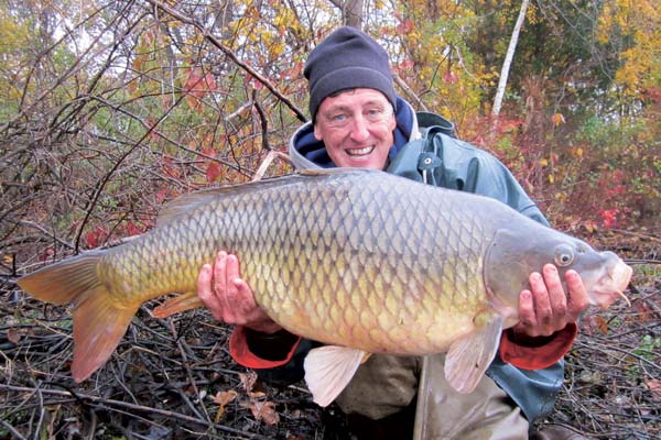 36-pound common carp