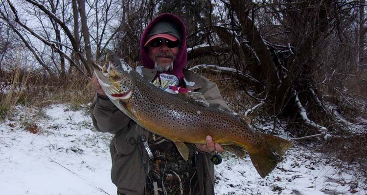 Bob Rustowicz of Cheektowaga won the brown trout division of the Capt. Bob's Outdoors fall derby