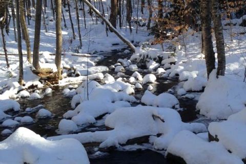 Pearly Lake Wildlife Management Area