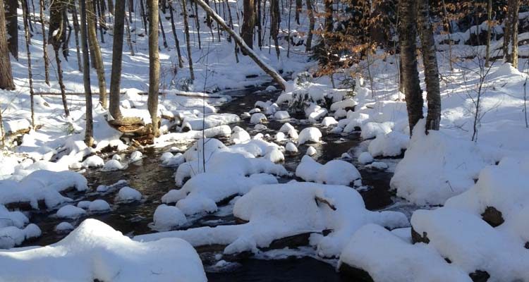 Pearly Lake Wildlife Management Area
