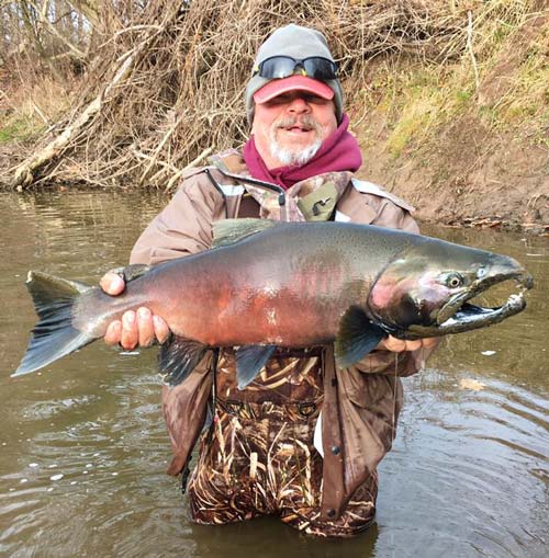 Bob Rustowicz found this big hungry coho salmon