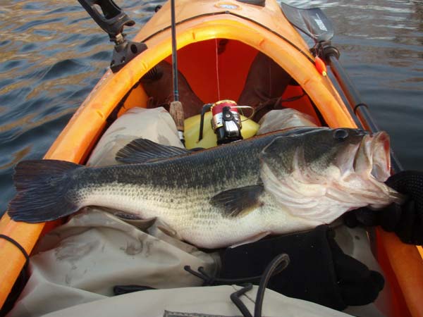 Choose bodies of water with good populations of fish