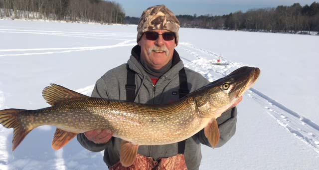 Shawn Hennessy's southern Maine pike