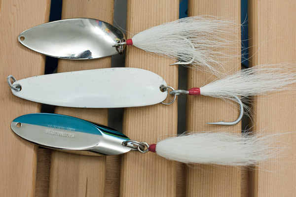 Striper surfcasters should experiment with metal spoon
