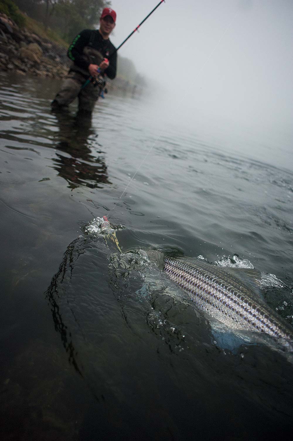 couple of hours to hunt stripers before work