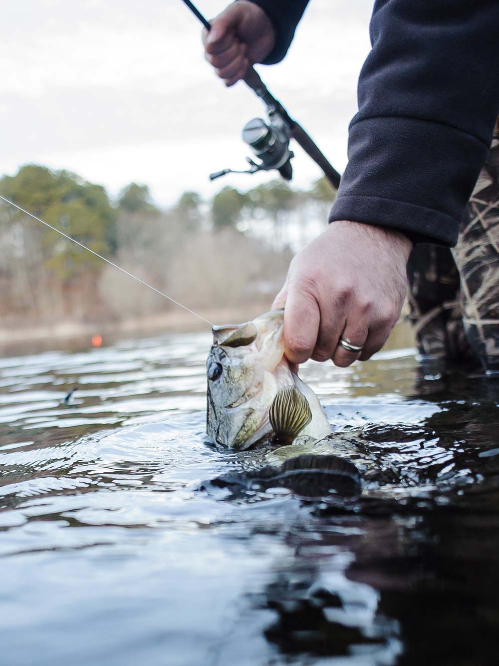 one of nearly a dozen similar-sized largemouth