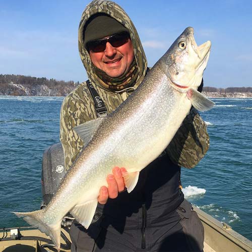 Ryan O'Neill's big Niagara River lake trout.