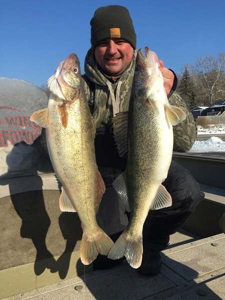Ryan O'Neill with two river walleye