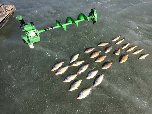 Bill Savage's panfish