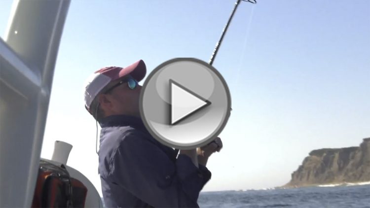 Block Island Trophy Striper Hunt