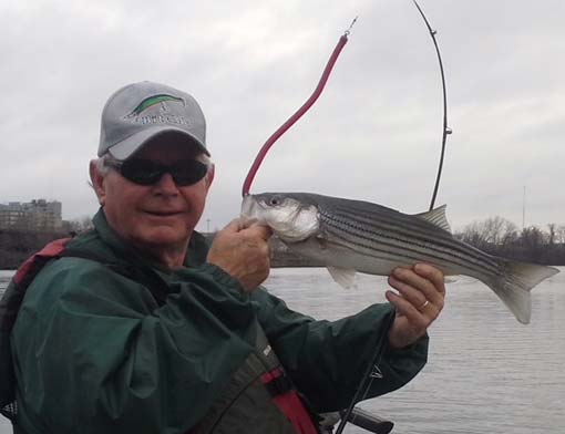 Captain Dave Panarello