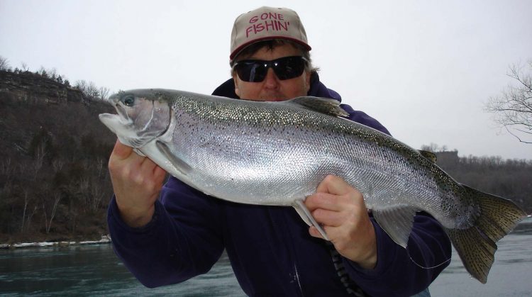 Mike Rzucidlo of Niagara Falls