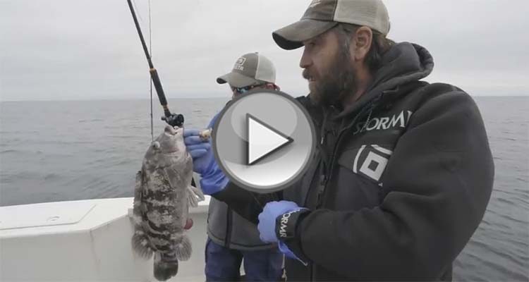 On The Water's Adventures presents Trophy Tautog Trip!
