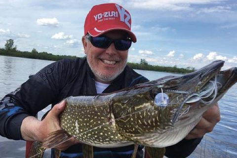 Yo-Zuri 3DB Knuckle Bait pike