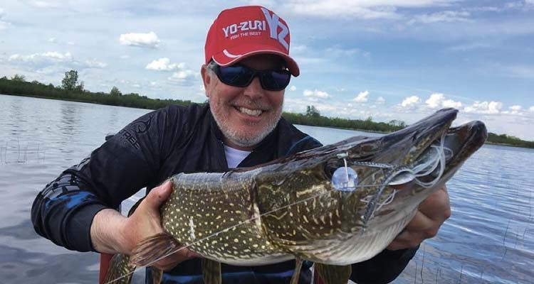 Yo-Zuri 3DB Knuckle Bait pike