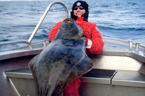 Atlantic halibut
